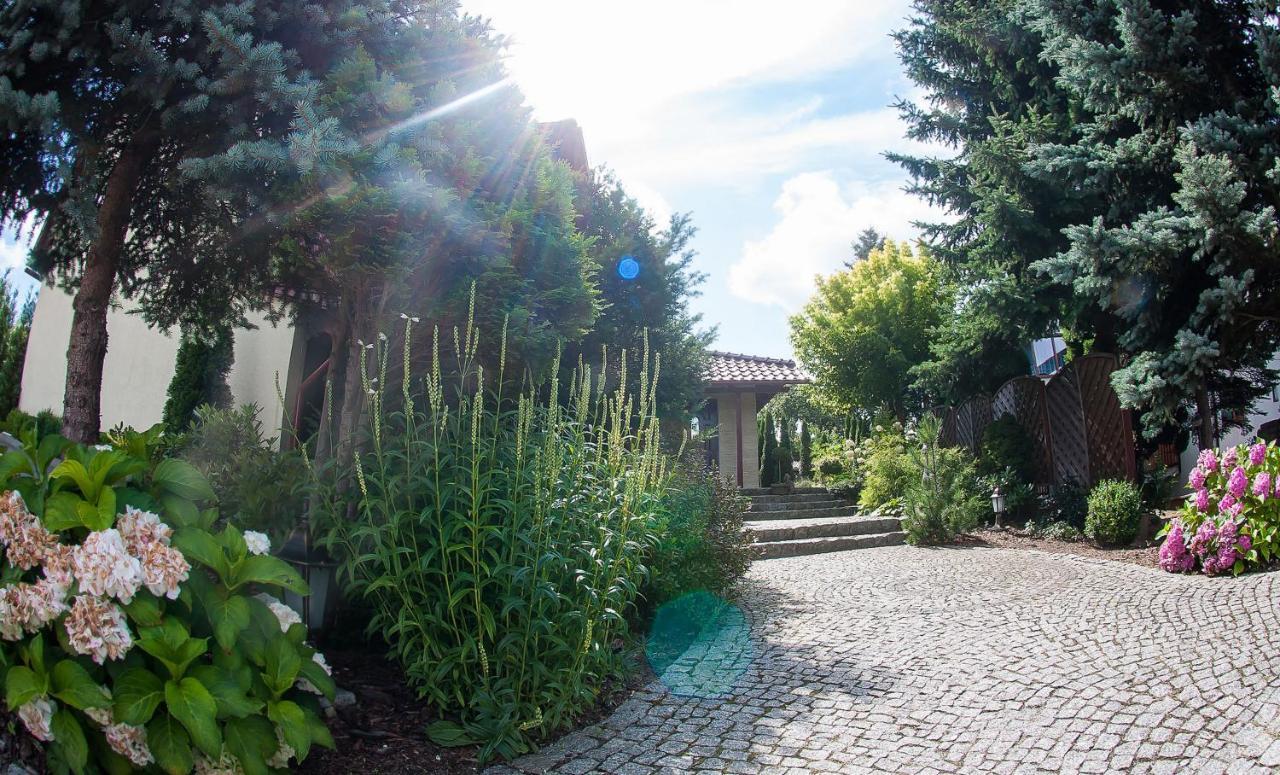 Villa Jasmin เจโลนากูรา ภายนอก รูปภาพ