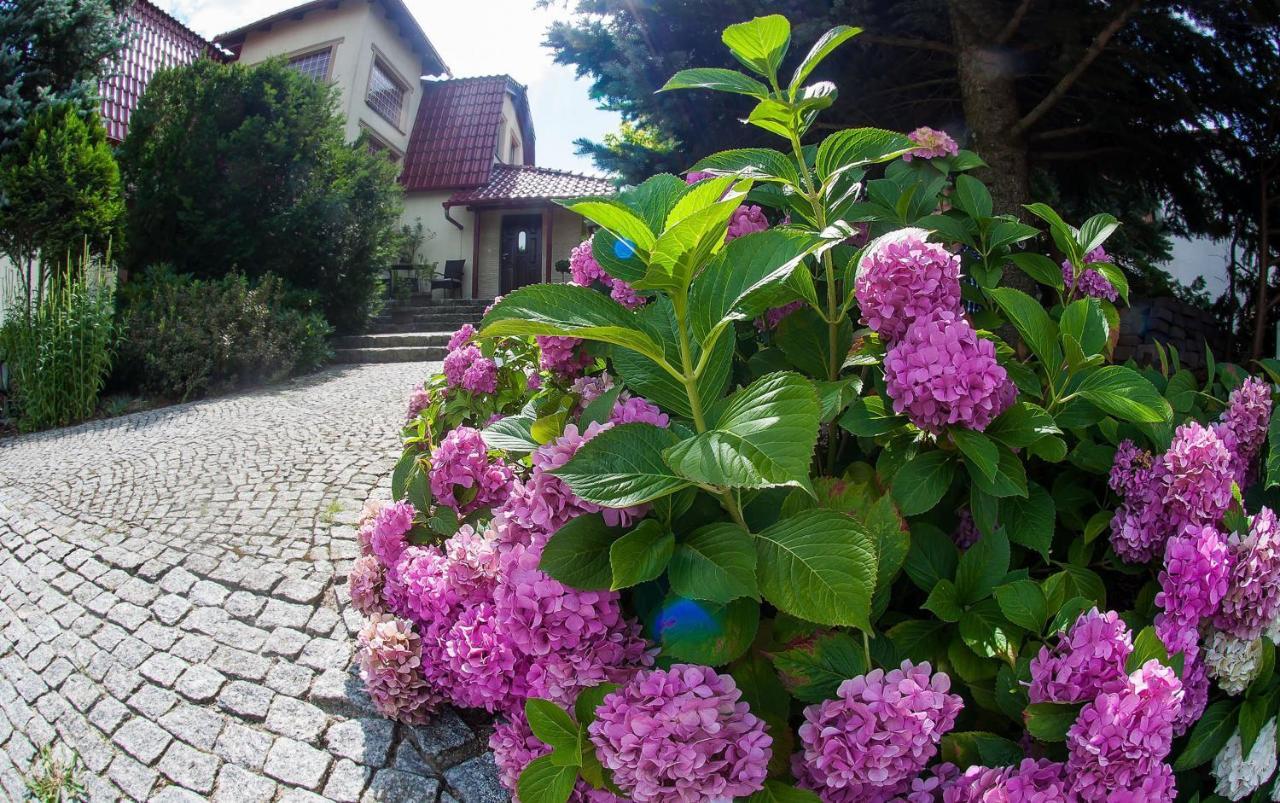 Villa Jasmin เจโลนากูรา ภายนอก รูปภาพ